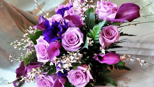 Кот дарит цветочек