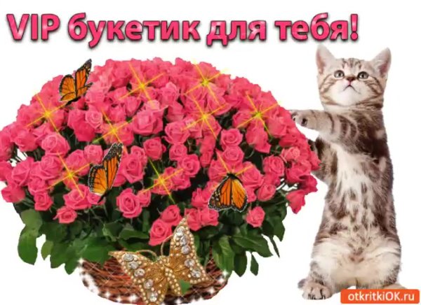 Мышка дарит цветочек