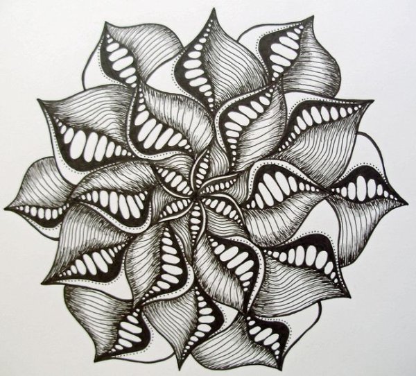 Дудлинг и Зентангл цветы