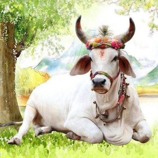 Бык акварель