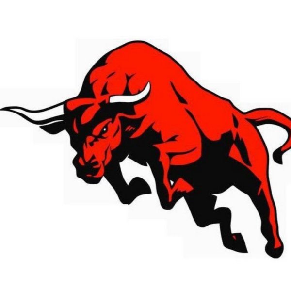 Разноцветный бык