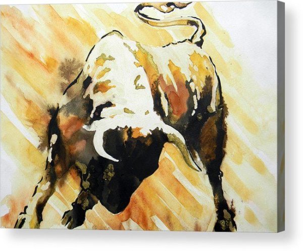 Буйвол тату эскизы