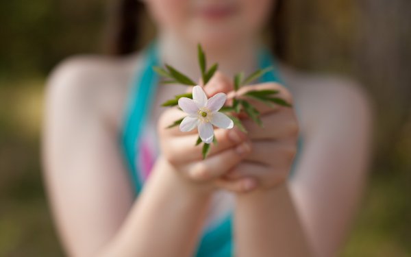Весенние цветы в руках