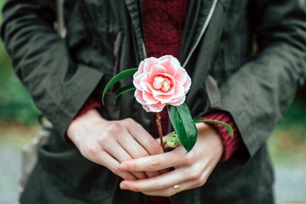 Цветок на руку.