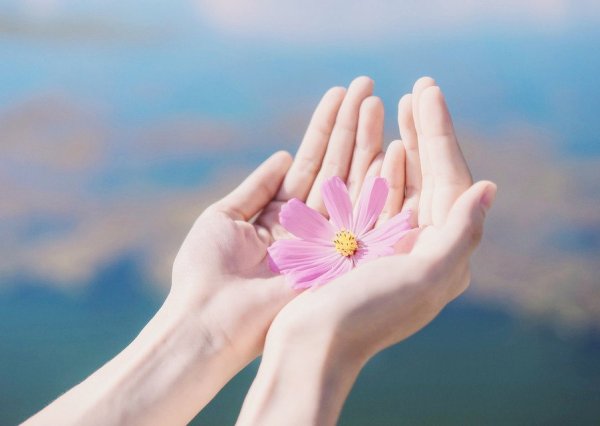 Цветы в ладонях