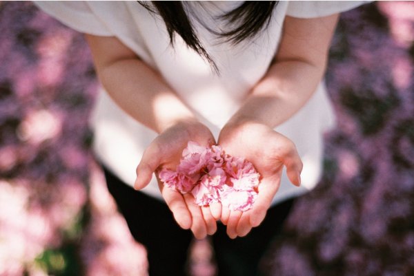 Девушка с розой арт