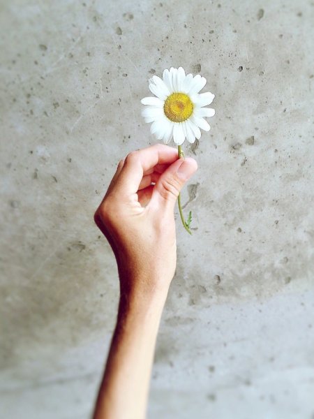 Цветок на руку.