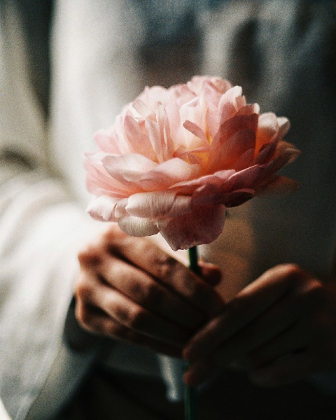 Нежные цветы в ладонях