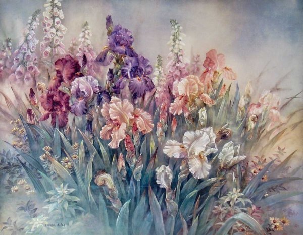 Римма Вьюгова ирисы