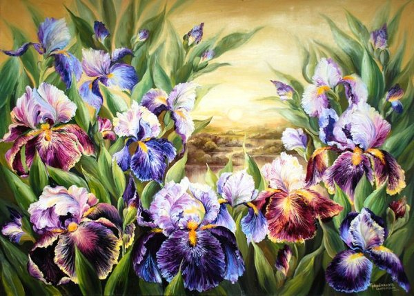 Ольга Базанова ирисы