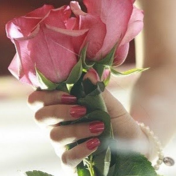 Девушка протягивает цветок