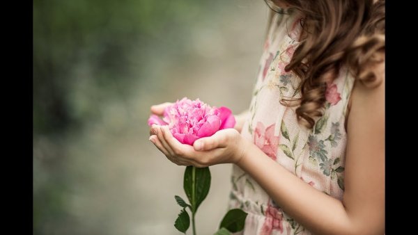 Фиалка в руке