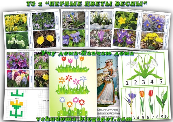 Весенние первоцветы для дошкольников