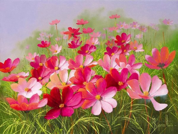 Цветы луговые художника Mary Dipnall