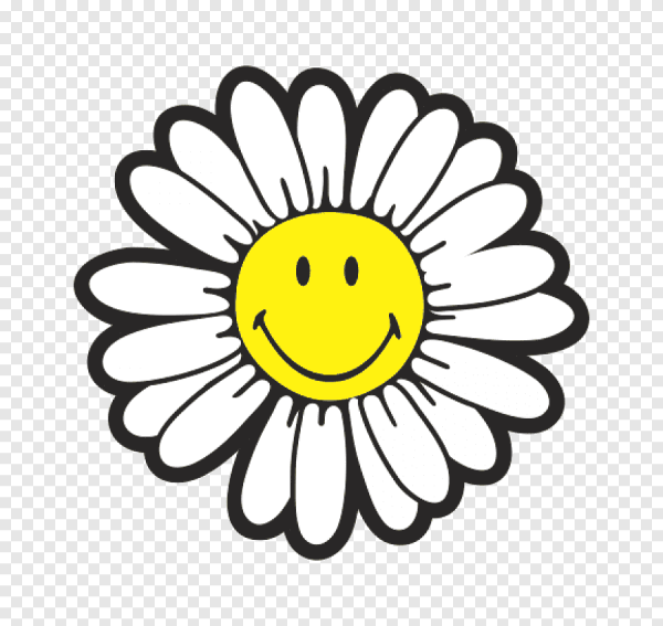 Ромашка с улыбкой