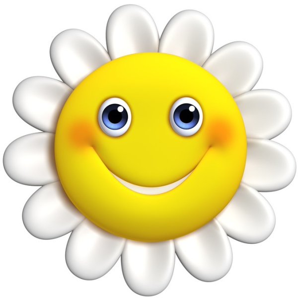 Ромашка с улыбкой