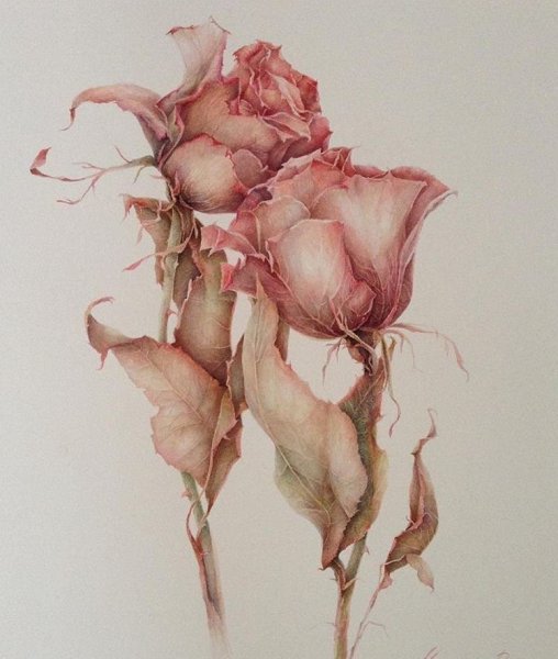 Марина правник акварель