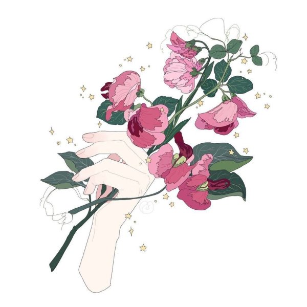 Аниме цветы Эстетика