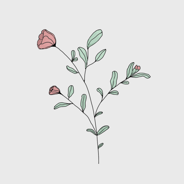 Нарисованные растения Эстетика