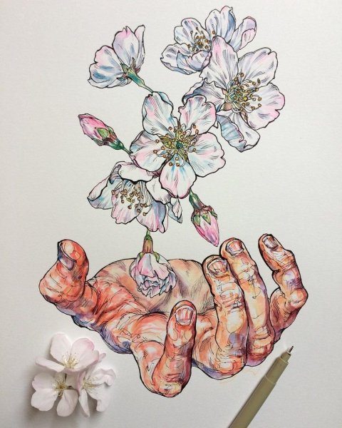 Рисование Эстетика