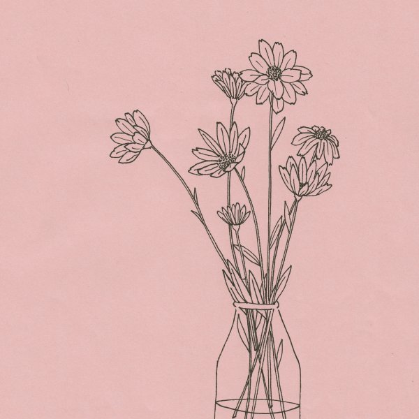 Цветы карандашом Минимализм