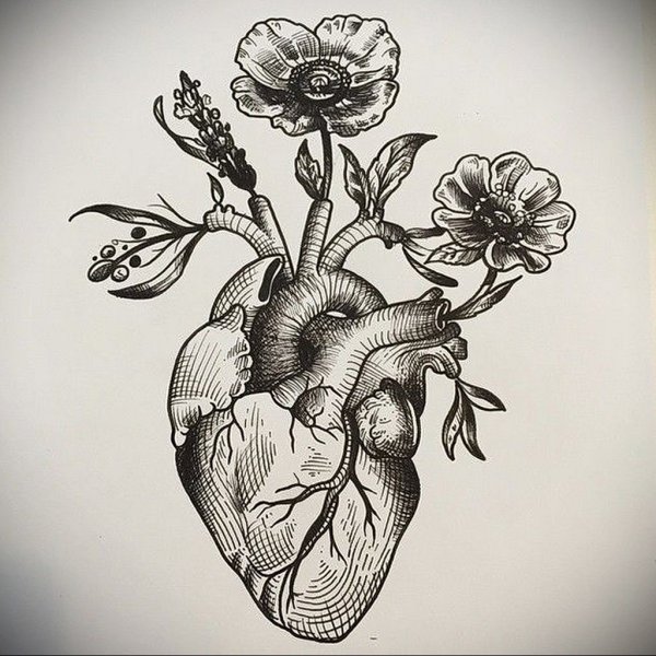 Сердце Графика