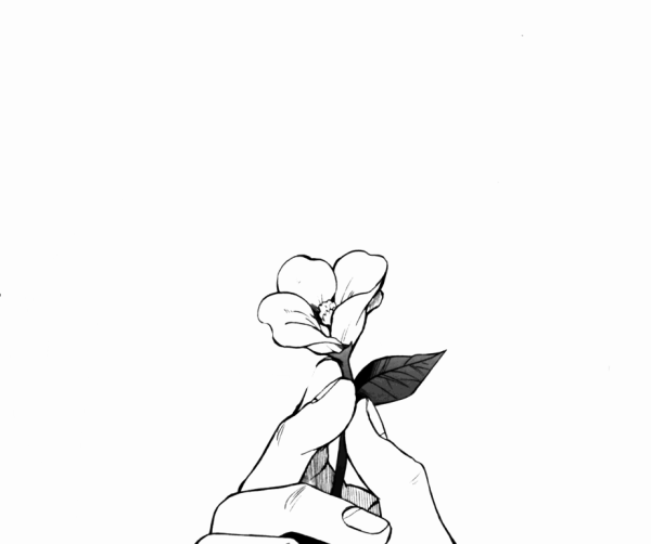 Чб картинки для срисовки Эстетика