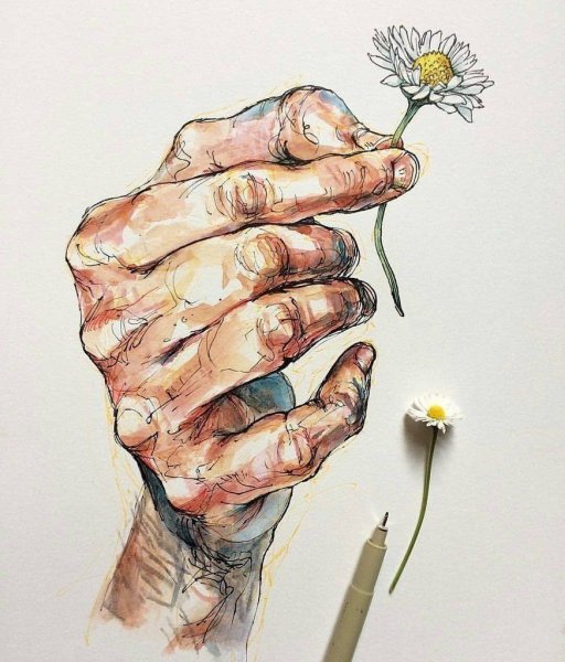 Цветы в руках акварель