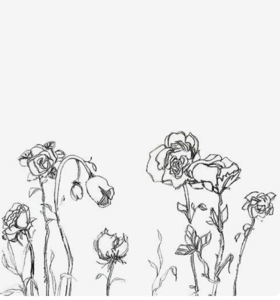 Эстетичные растения черно белые