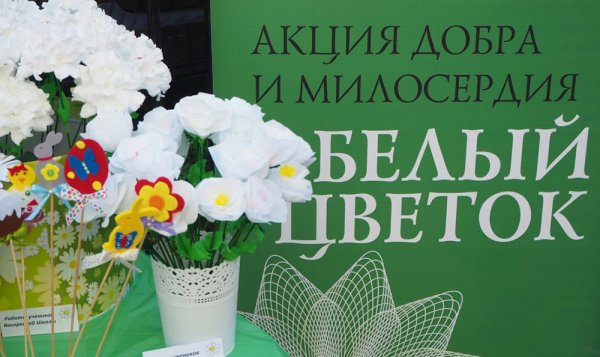 Акция милосердия белый цветок
