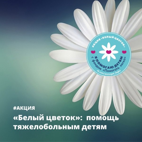 Белый цветок благотворительная акция