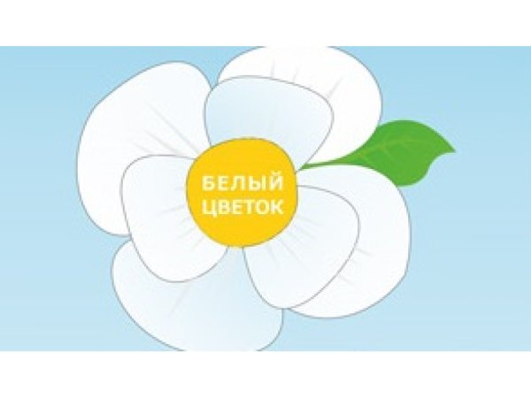 Белый цветок благотворительная акция