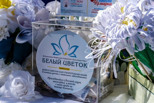 Белый цветок благотворительная акция