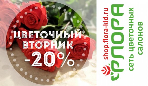 Благотворительная акция белый цветок 2021