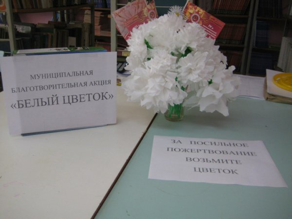 Акция милосердия белый цветок