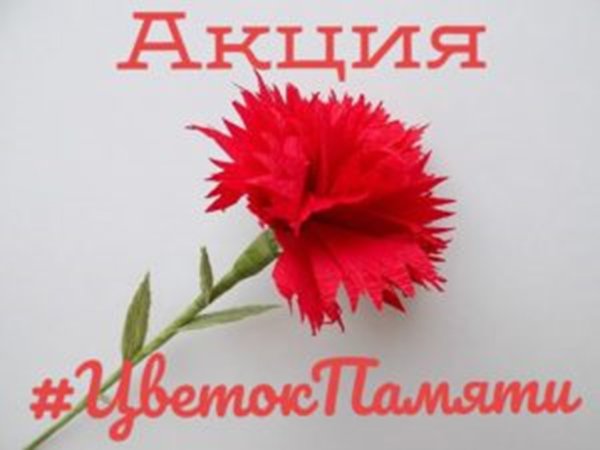 Белый цветок благотворительная акция Воронеж