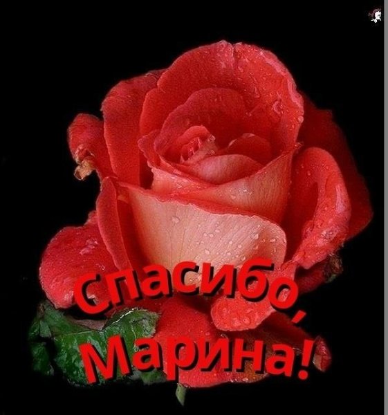 Марина спасибо большое