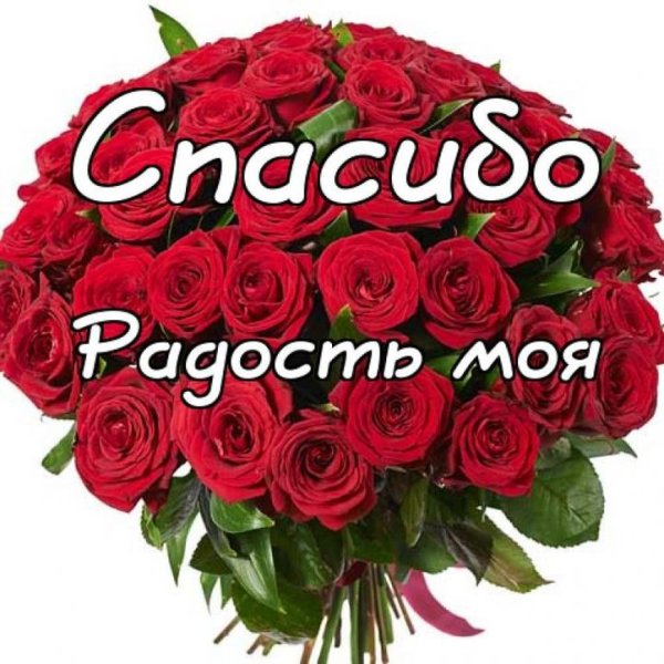 Спасибо сестренка