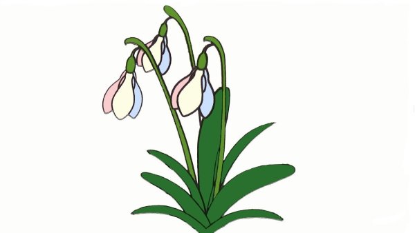 Подснежники для вырезания