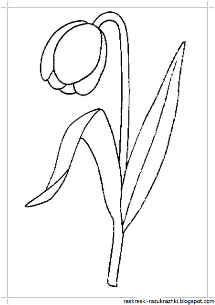 Весенние первоцветы для детей