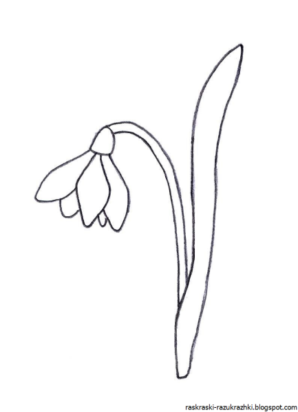 Подснежник для детей