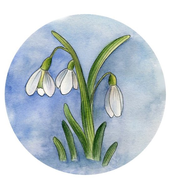 Открытки с подснежниками