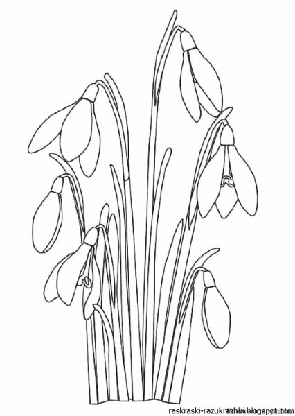 Подснежники 12 месяцев рисунок