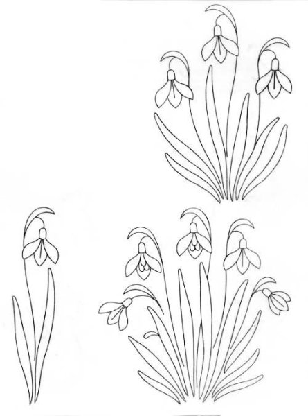 Подснежники акварель