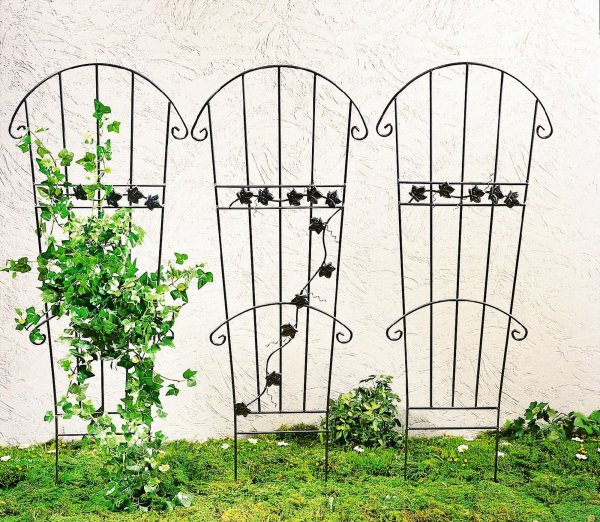 Пергола под клематис