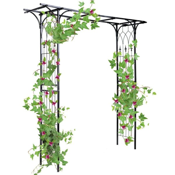 Шпалера пергола для клематиса