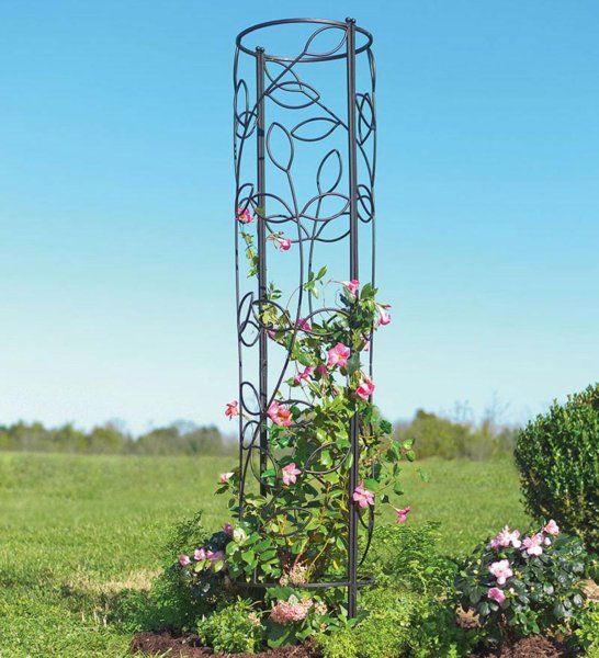 Опоры для роз шрабов