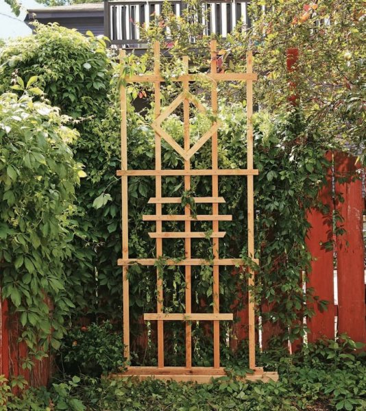 Шпалера "суперсетка"