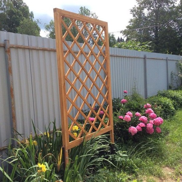 Шпалера пергола для клематиса