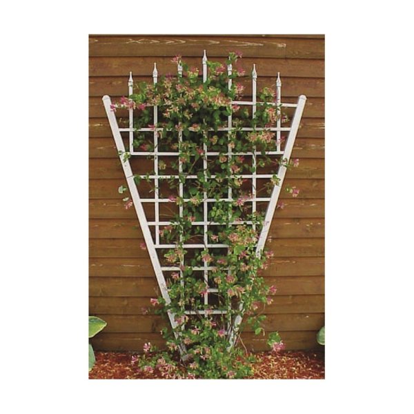 Опора веер для клематиса